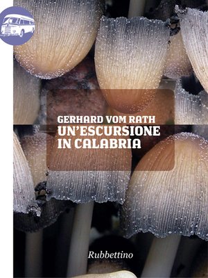 cover image of Un'escursione in Calabria